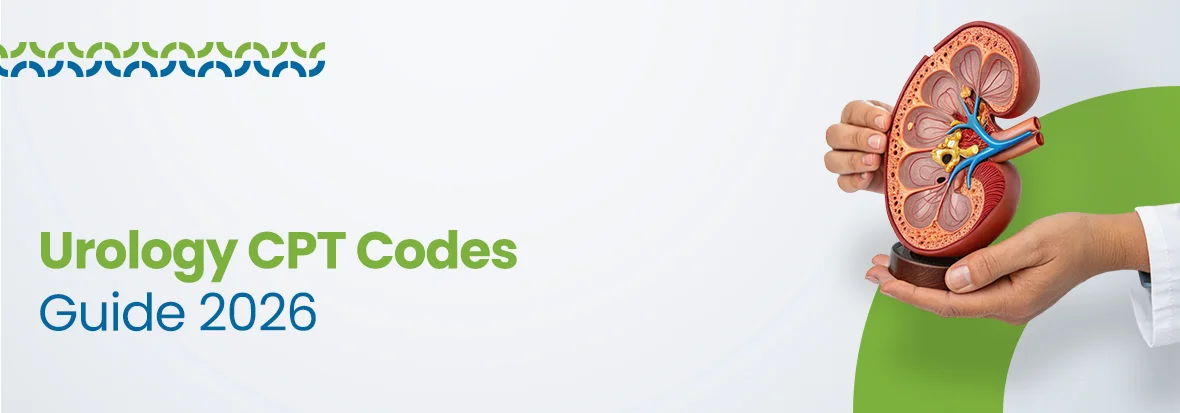 Urology CPT Codes Guide - Updates for 2026